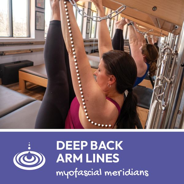 Deep Back Arm Lines