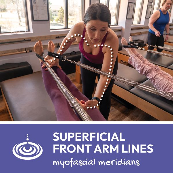 Superficial Front Arm Lines